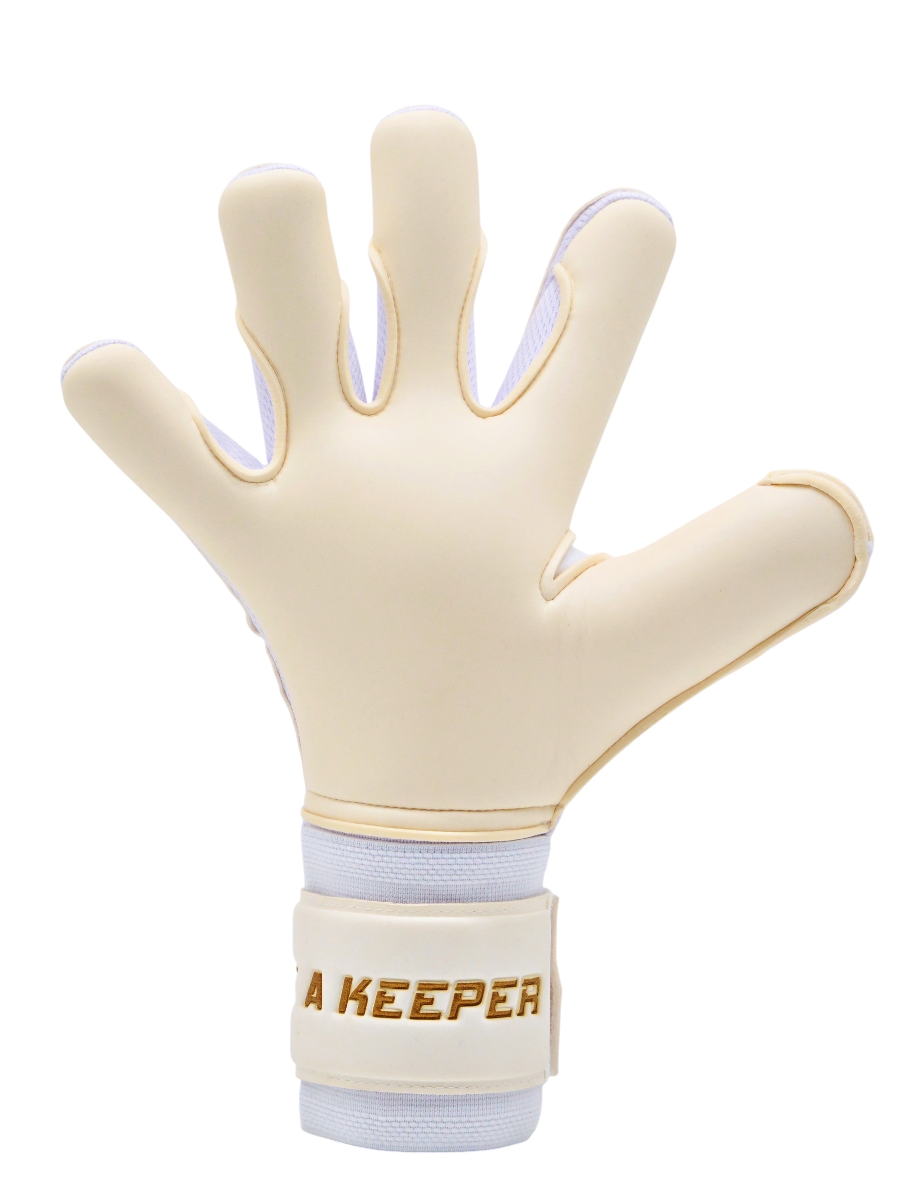 Photoroom_20260812_134729